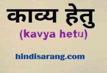 काव्य हेतु | काव्यशास्त्र | kavya hetu kavya-hetu