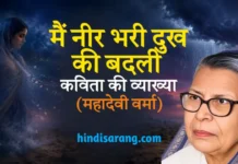 मैं नीर भरी दुख की बदली- महादेवी वर्मा Main Neer Bhari Dukh Ki Badli Kavita Ki Vyakhya Mahadevi Varma
