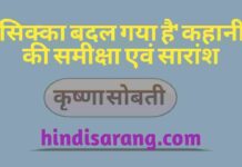 सिक्का बदल गया कहानी की समीक्षा एवं सारांश | कृष्णा सोबती sikka-badal-gaya-kahani-ki-sameeksha